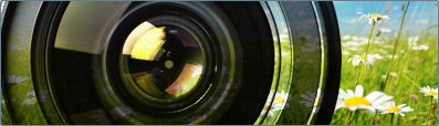 fotografia przyrodnicza fotografia przyrodnicza